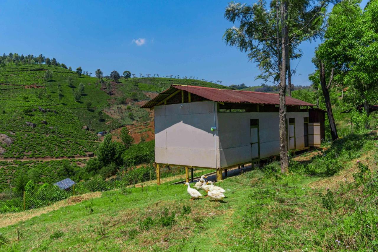 Long Walk With Breakfast Included, Pet Friendly At Ooty By Stayvista Coonoor Exterior photo